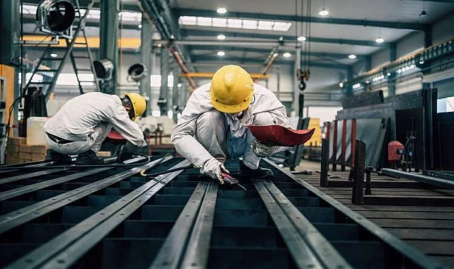 Mamak Bahçe İlaçlama